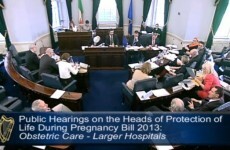 12 interesting moments from the Oireachtas abortion hearings