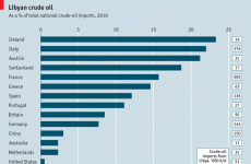 Ireland 'needs more Libyan oil' than any other country