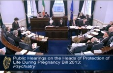 8 interesting moments from Day 2 of the Oireachtas abortion hearings