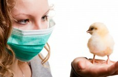 Uh-oh: UN says it's impossible to predict spread of new bird flu