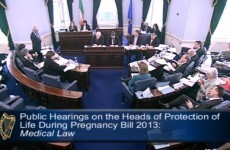 6 interesting moments from the final day of the Oireachtas abortion hearings