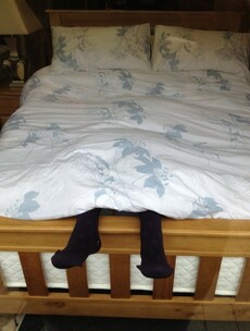 10 of the weirdest pictures we've been sent by readers