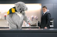 Aussie legend Tim Horan fronts Fox campaign to drown Lions' Sea of Red