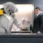 Aussie legend Tim Horan fronts Fox campaign to drown Lions' Sea of Red