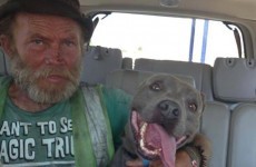 Homeless man reunited with beloved pooch