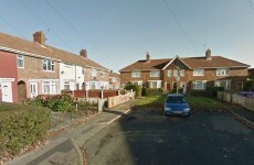 'Out of control' dog attacks and kills elderly man in his garden