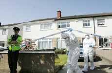 New information leads to arrest over 2011 stabbing of Dublin solicitor