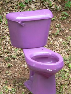 Pennsylvania woman fights cancer using... purple toilets