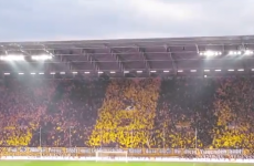 Amazing flag waving display by Dynamo Dresden fans