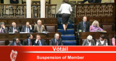 TD slams 'blatant abuses of power' after being suspended from the Dáil