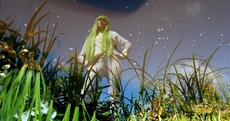 Dorothy, nymphs, shrubbery: What you can expect from Bloom 2013