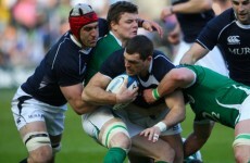 Twitter critics round on Ireland Six Nations stars...