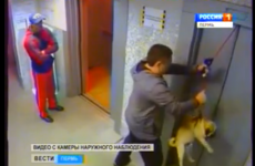 Man saves dog from certain death in lift