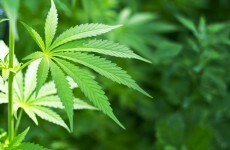 Man due in court over cannabis, cocaine and MDMA seizure