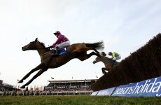 Zeb top of the class at Leopardstown school