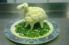 13 unexpected advantages of being a vegetarian