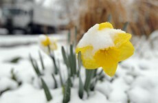 Brrr! This spring was one of the coldest on record