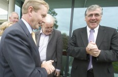 Fine Gael TD Tom Hayes is the new junior agriculture minister