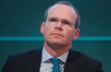 Minister: 'We are not abolishing the Seanad'