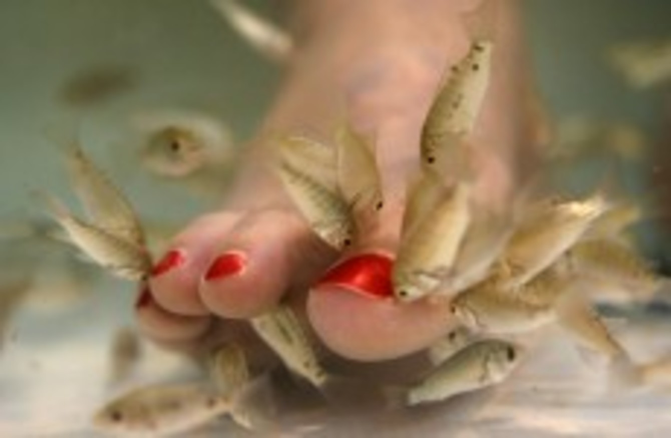 France S National Safety Agency Concerned About Fish Pedicure Risks Upi Com