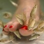 Safety of fish pedicures questioned by health experts