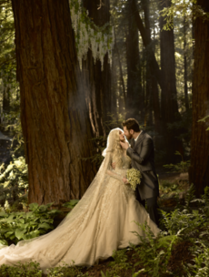 This is the fantastical set built by Napster and Facebook billionaire for his wedding