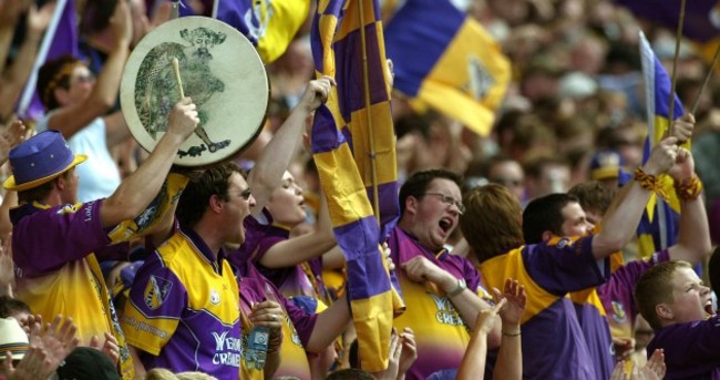 23 signs that you're a Wexford sports fan