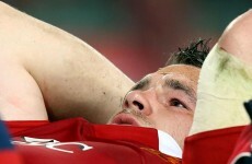 Cian Healy cleared of biting but flying home injured from Lions Tour