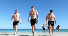 Have the Lions lost their luggage? Topless Paulie and more pics of the week