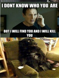 So who was Liam Neeson really talking to in 'Taken'?