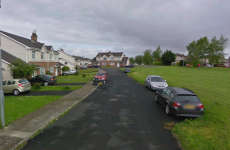 Witness to dog death insists no malicious involvement from UL students