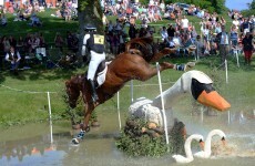 It's Your Horse Jumping Over a Giant Swan Picture of the Day