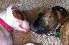 7 of the most annoying sleepers to share your bed with