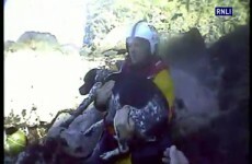 Luca the dog rescued after falling 200ft down a cliff edge