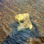 Farmer finds stolen priceless, medieval window frame dumped in Leitrim lake