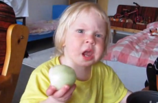 Want to see a toddler eat a raw onion like an apple?