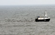EU may change rule requiring fish to be thrown back into sea