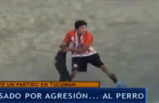 Cruel and unusual dog-flinging method earns a straight red card