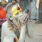 Nepal holy men warned against selling cannabis at festival