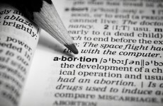 Abortion bill ‘ties the hands of many families’ as poll shows strong support