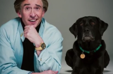 See why Alan Partridge (and Colm Meaney) are under siege