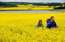 Poll: Should landowners be forced to provide access to their lands?
