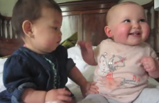 WATCH: These two babies are having a great time together