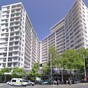 Man survives plunge from 15th floor in New Zealand