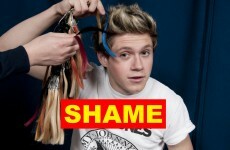 The Dredge: Niall Horan has brought shame on Ireland