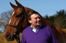 Punchestowns to give Cheltenham a miss
