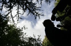 Cabinet abandons plan to sell off felling rights for public forests