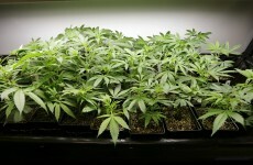 Two arrested after drugs found in car in Cork