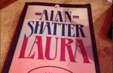 Poll: Will you read Alan Shatter's novel 'Laura'?