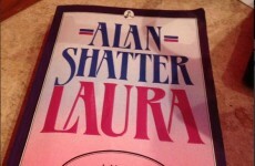 Poll: Will you read Alan Shatter's novel 'Laura'?